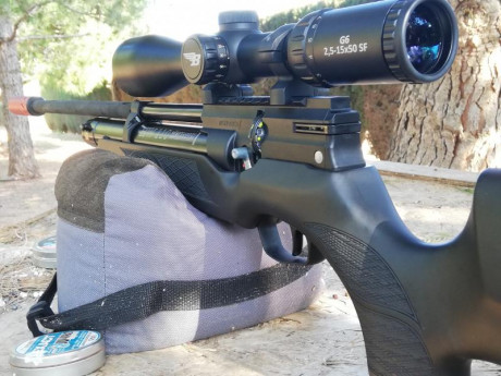 Para financiar nuevo capricho, pongo en venta mi Weirauch HW110 calibre 5.5, comprada en Armería Ayala. 10