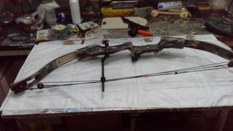 Vendo arco de poleas ,  golden  eagle  predador  29>32 , 60 libras , cables acero ,  cuerda dacron 01