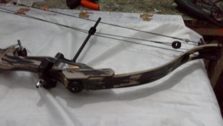 Arco de poleas golden eagle predador  29 > 32, 60 libras, cables acero y cuerdas de dacron , es un 12