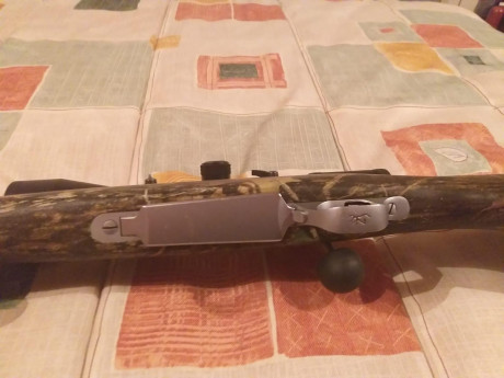 Un amigo vende esto:

Se vende Browning Mountain Titanium en calibre 300 WSM.
Rifle muy ligero, pesa 2,6 40