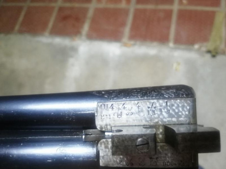 Buenos días,
Ha llegado a mis manos una M. Ugarteburu yuxtapuesta,calibre 12, salida de gases,orejetas, 121