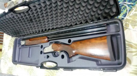 VENDO ESCOPETA DE PLATO LANBER 2099 TRAP, CAÑONES DE 75 CM 450 €,
ESTÁ EN MADRID, TLF 645973771
  REBAJA 01