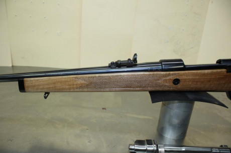 Hola. Compañeros
Vedo este rifle nuevo a estrenar en calibre 243 por no poder usarlo.
El precio es de 01