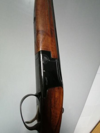 Vendo Escopeta Laurona Superpuesta 1 gatillo 60cm de cañón y 4 estrellas ambos cañones. Precio 300€ más 02