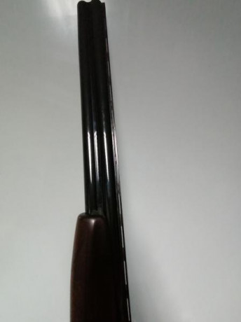 Vendo Escopeta Laurona Superpuesta 1 gatillo 60cm de cañón y 4 estrellas ambos cañones. Precio 300€ más 01