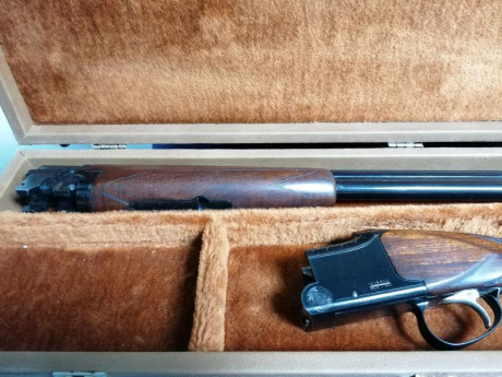 Vendo Escopeta Laurona Superpuesta 1 gatillo 60cm de cañón y 4 estrellas ambos cañones. Precio 300€ más 00