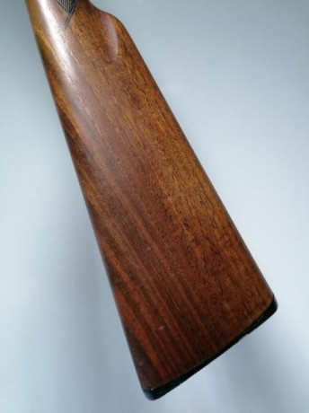 Vendo Escopeta Laurona Superpuesta 1 gatillo 60cm de cañón y 4 estrellas ambos cañones. Precio 300€ más 11
