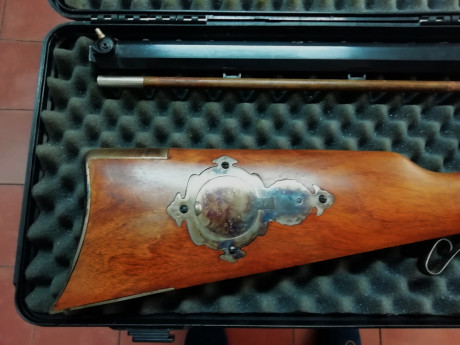 VENDO rifle Tryon de PEDERSOLI, de percusión, Cal.54, con diopter y tunel con anillas de repuesto, en 00
