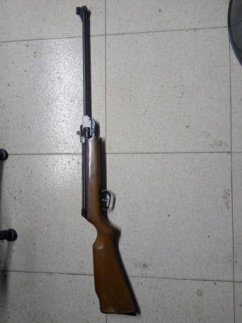 Buenas, quiero empezar en este mundillo y me gustaría adquirir una carabina para practicar, el presupuesto 11
