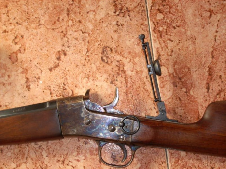 Hola vendo mi rifle  ROLLING BLOCK, calibre 45/70, esta guiado en AE, equipado con diopter y tunel, con 00