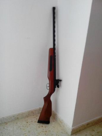 VENDO: Carabina Gamo MAXIMA EXPRESS 5,5 y pistola BERETTA 92 CAL.4,5 POR 350€.Gastos de envío a cuenta 01