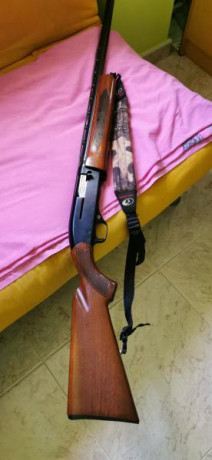 Vendo escopeta Winchester 1400 MKII en perfecto estado de conservacion y funcionamiento

  Calidre  12 170