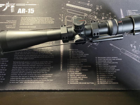 Buenas a todos.

Vendo las siguientes armas:

B&t MP5 9mm, guiado en D, conmigo habrá tenido unos 11