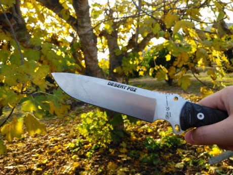 Cambio cuchillo Nieto Desert Fox con funda de cuero y caja por otro cuchillo.
En concreto me interesa 02