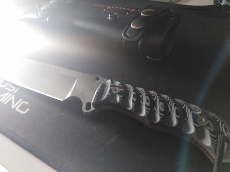 Cambio cuchillo Nieto Desert Fox con funda de cuero y caja por otro cuchillo.
En concreto me interesa 01