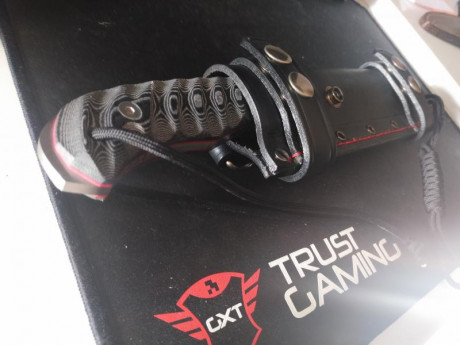 Cambio cuchillo Nieto Desert Fox con funda de cuero y caja por otro cuchillo.
En concreto me interesa 00