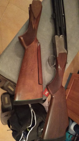Buenas,
Vendo Miroku de plato 8000 TR-1 con dos culatas, una de ellas con sube-baja, selector de tiro 00