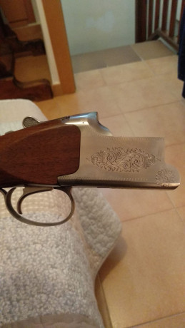 Buenas,
Vendo Miroku de plato 8000 TR-1 con dos culatas, una de ellas con sube-baja, selector de tiro 12
