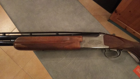 Buenas,
Vendo Miroku de plato 8000 TR-1 con dos culatas, una de ellas con sube-baja, selector de tiro 11