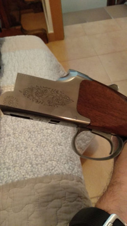Buenas,
Vendo Miroku de plato 8000 TR-1 con dos culatas, una de ellas con sube-baja, selector de tiro 10