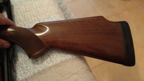 Buenas,
Vendo Miroku de plato 8000 TR-1 con dos culatas, una de ellas con sube-baja, selector de tiro 22
