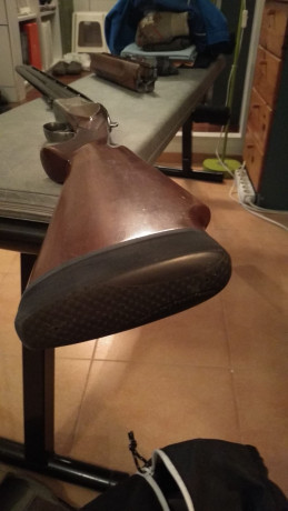 Buenas,
Vendo Miroku de plato 8000 TR-1 con dos culatas, una de ellas con sube-baja, selector de tiro 21