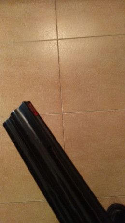 Buenas,
Vendo Miroku de plato 8000 TR-1 con dos culatas, una de ellas con sube-baja, selector de tiro 20