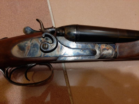 Vendo escopeta AMR calibre 12 Magnum  de perrillos con choques cilíndricos y cañones de 50 centímetros. 30