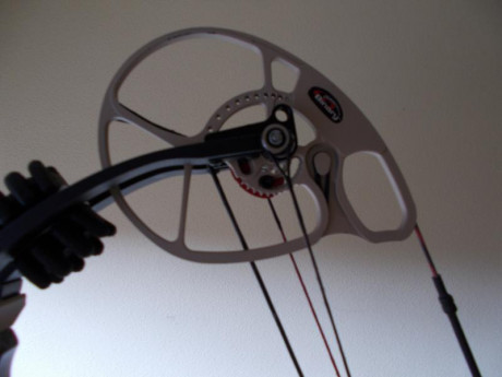 Hola a tod@s, vendo este arco Bowtech insanity CPXL ya que tengo que pasarme a uno zurdo, el arco lleva 00