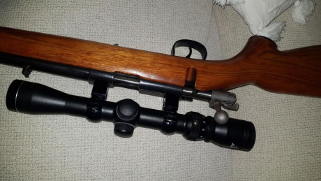 Hola amigos.
Vendo cuidada y bonita carabina de cerrojo cal 22 Magnum. Es una Norinco con visor Luger.
Se 02