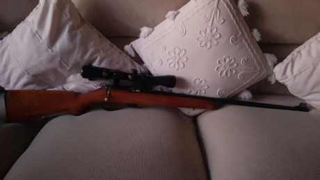 Hola amigos.
Vendo cuidada y bonita carabina de cerrojo cal 22 Magnum. Es una Norinco con visor Luger.
Se 00