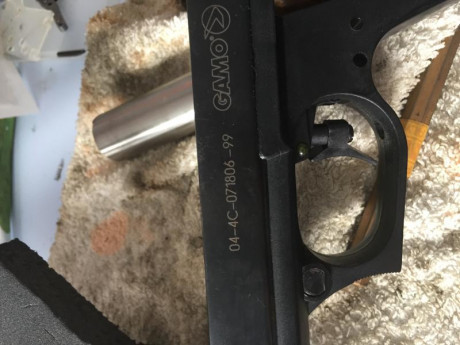 Hola necesito buscar repuestos para mi Gamo Compac, pero no se si tengo la V1 o V2. Alguien puede ayudarme???
El 01