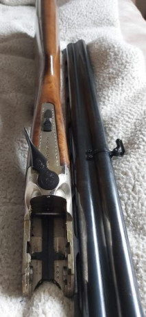 Por falta de cupo y dejar la caza, cambio estas dos escopetas ,una superpuesta y la otra semiautomática,en 00