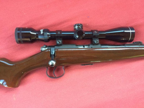 Vendo rifle del calibre 22 de cerrojo marca Brno. Es checoslovaco. Tiene rosca para acoplar silenciador. 00