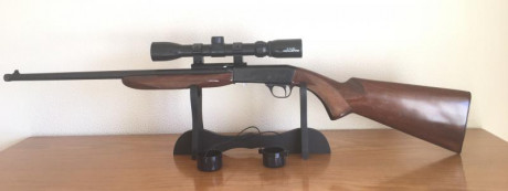 Vendo carabina segunda mano  SW-20 NORINCO 
Calibre 22
Con visor 3-9 X 32   KONUSFIRE   a estrenar
 DE 02