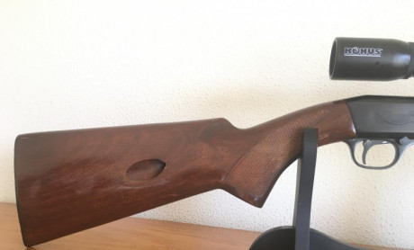 Vendo carabina segunda mano  SW-20 NORINCO 
Calibre 22
Con visor 3-9 X 32   KONUSFIRE   a estrenar
 DE 00
