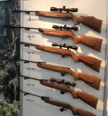 Para lo expertos en esta marca de carabinas, que diferencias existen entre la 30s y la 50s, he leído algunas 30
