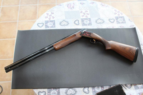 VENDIDA, SE PUEDE CERRAR.

Laurona 92 Sporting en perfecto estado. 5 polichoques. 75cm cañon. Monogatillo, 01