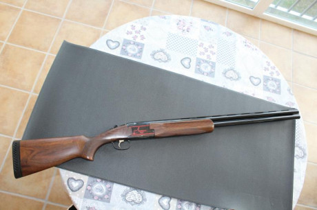 VENDIDA, SE PUEDE CERRAR.

Laurona 92 Sporting en perfecto estado. 5 polichoques. 75cm cañon. Monogatillo, 00