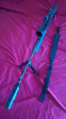 Carabina 850 Airmagnum:
 -Bípode de precisión 
 -Adaptador de cargador de bombonas 12 gr de CO2
 -2 Cargadores
 02