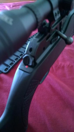 Carabina 850 Airmagnum:
 -Bípode de precisión 
 -Adaptador de cargador de bombonas 12 gr de CO2
 -2 Cargadores
 01