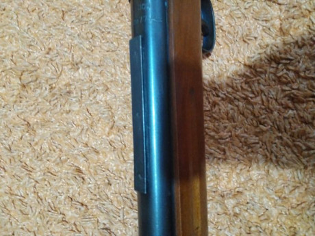 Hola, tengo una carabina Flecha modelo 14 y quisiera ponerla una mira moderna, mi duda es si se puede 00