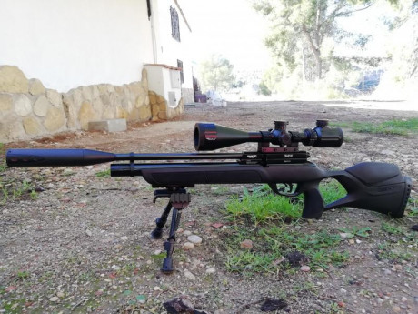 Buenas compañeros, vendo esta simple pero muy precisa carabina. Hice un review sobre ella en este mismo 01