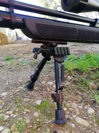 Buenas compañeros, vendo esta simple pero muy precisa carabina. Hice un review sobre ella en este mismo 00