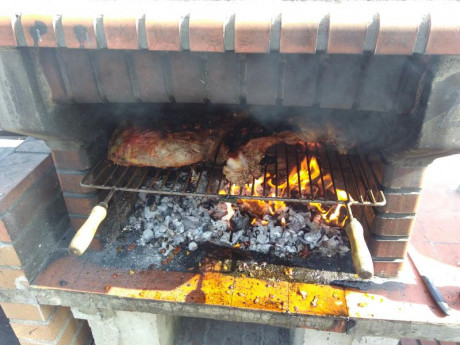 Hoy para comer acelgas hervidas y chuletón de vaca gallega vieja con seis semanas de maduración en cámara 132