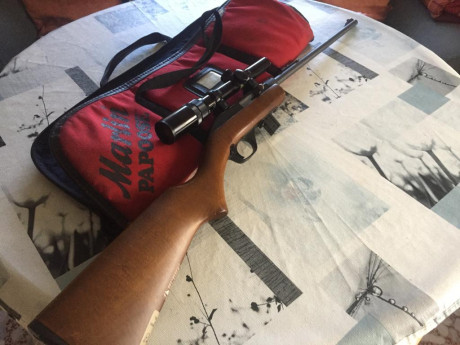 Buenas noches, un amigo de mi padre vende esta carabina, 200€ con visor

Para cualquier cosa hablar directamente 01