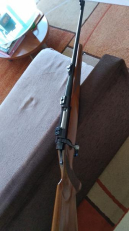 Apelo a los comentarios basados en experiencias reales de usuarios del .270, mi nueva adquisición. El 170
