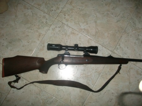 Tengo un sako 75 del 308 win y tengo un visor en una caja, entonces quería poner dos visores en el, ahora 10