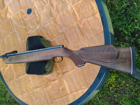 Hola, vendo o cambio por la diana 350 Magnum en calibre 5.5 ajustando la diferencia por mi parte , esta 12