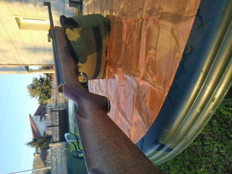 Hola, vendo o cambio por la diana 350 Magnum en calibre 5.5 ajustando la diferencia por mi parte , esta 11